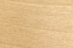 Blondie stain