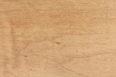 Sanibel stain