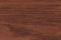 Sassafras stain