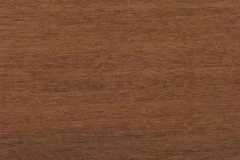 Southern Pecan stain