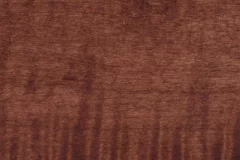 Southern Pecan stain