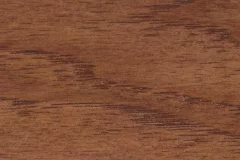 Spring Twig stain