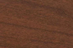 Spring Twig stain