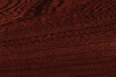 Mediterranean Fig stain