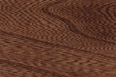 Spring Twig stain