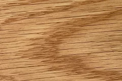 Sanibel stain