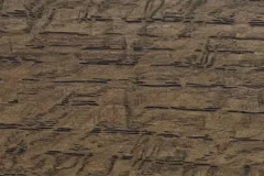 Delta Cove stain