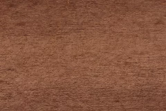 Spring Twig stain