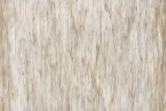 Birchwood