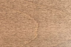 Fossil stain