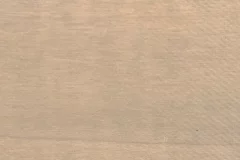Sand Dollar stain