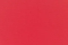 Canvas Logo Red