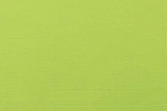 Canvas Macaw