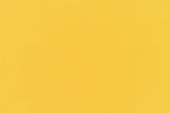 Canvas Sunflower