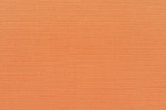 Canvas Tangerine