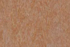 Cedar
