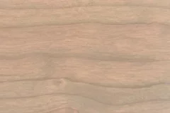 Sand Dollar stain