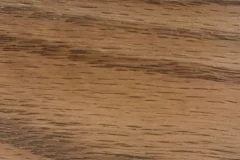 Fossil stain