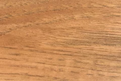 Fossil stain