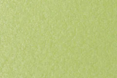 Kiwi Green color