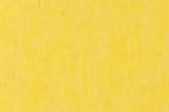 Lemon Yellow
