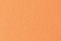 Mango Orange color