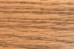 Fossil stain