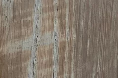 Argos stain