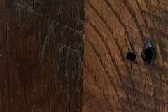 Homebody stain