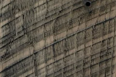 Mountain Brush stain