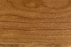 Blondie stain