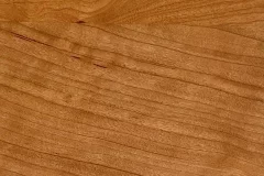Sanibel stain