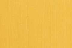 Spectrum Daffodil