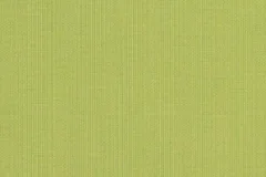 Spectrum Kiwi