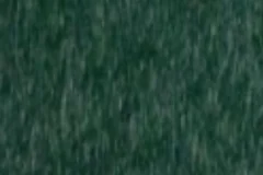 Turf Green