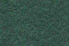Turf Green