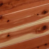 Cedar