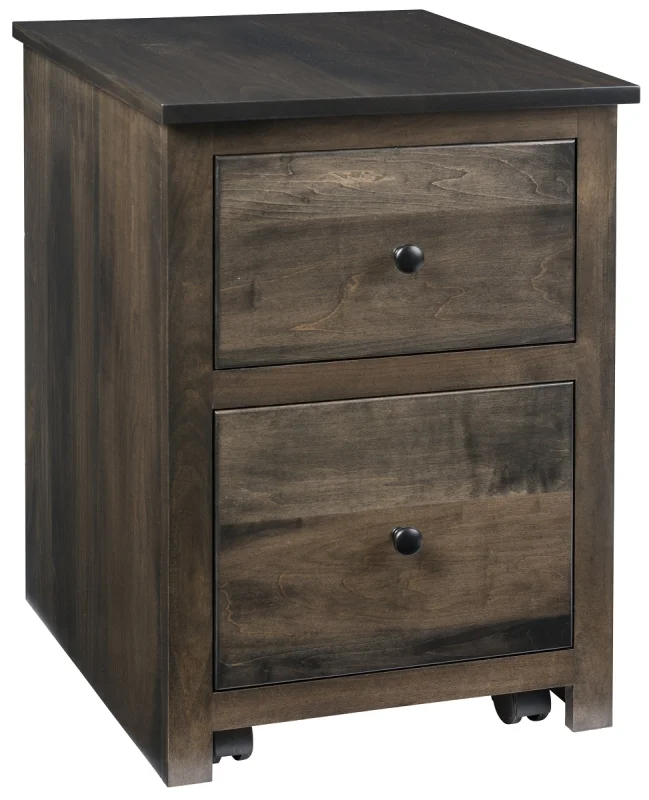 Paul's Valley File Cabinet
