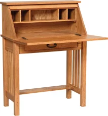 Selina Mission Secretary Desk