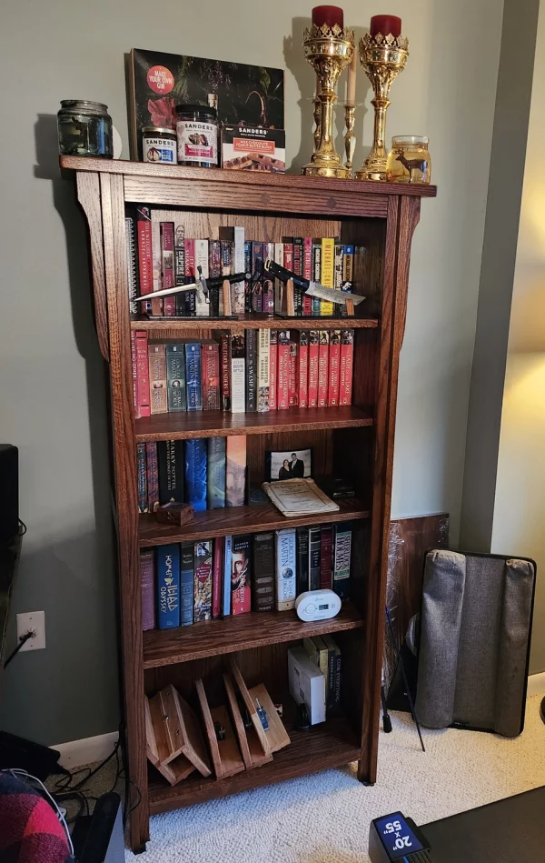 Picture of Lakeland Craftsman Bookshelf, reviewed by James